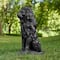 Glitzhome® 27.75" MGO Guardian Sitting Lion Garden Statue